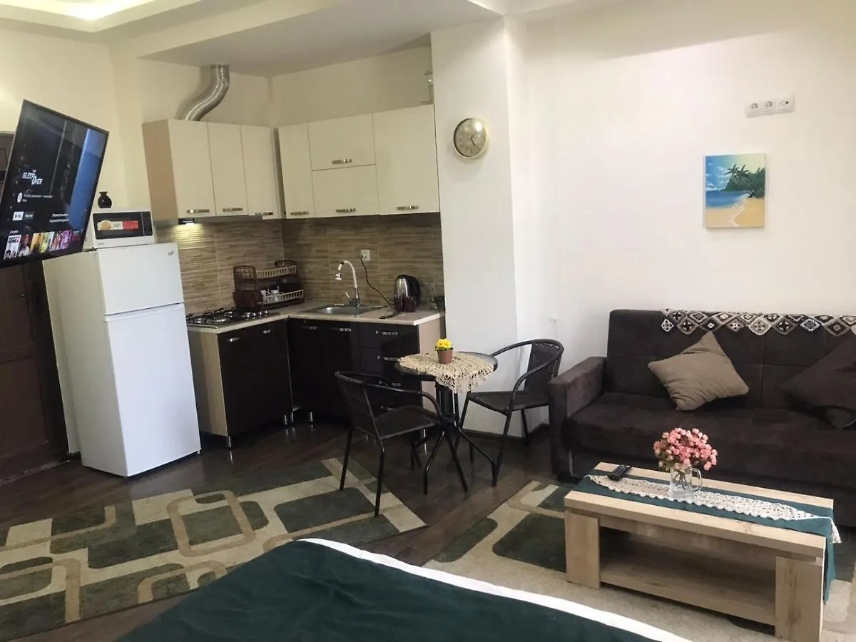 Apartment Luxury Studio Ortachala Tbilisi Georgia